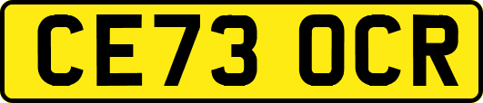 CE73OCR