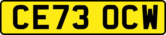 CE73OCW