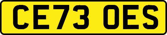 CE73OES
