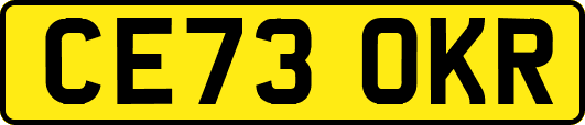 CE73OKR