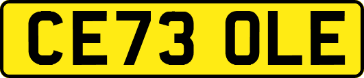 CE73OLE