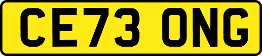 CE73ONG