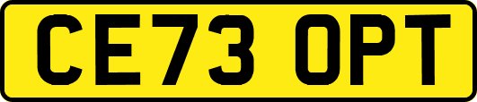 CE73OPT