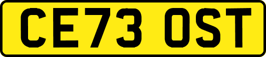 CE73OST