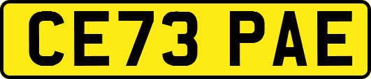 CE73PAE