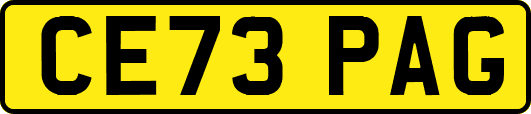 CE73PAG