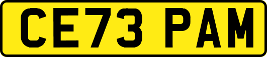 CE73PAM