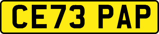 CE73PAP