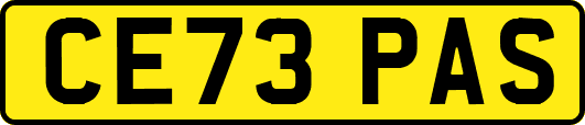 CE73PAS