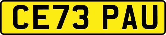 CE73PAU