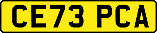CE73PCA