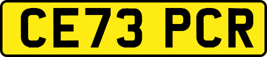 CE73PCR