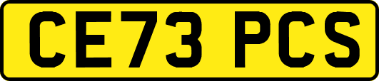 CE73PCS