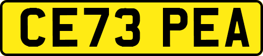 CE73PEA