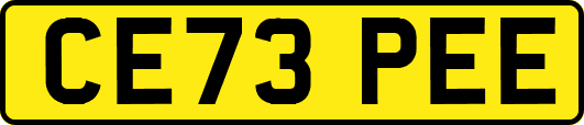 CE73PEE