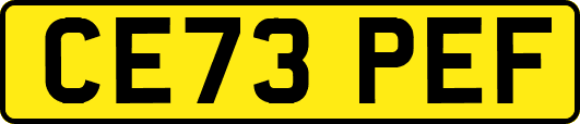 CE73PEF