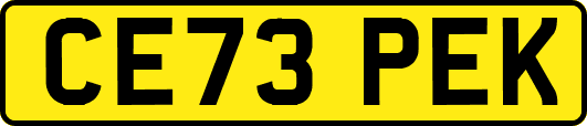 CE73PEK