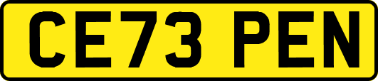 CE73PEN