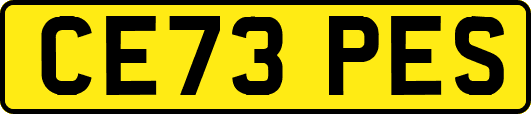 CE73PES