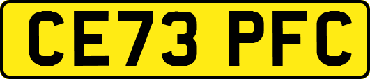 CE73PFC