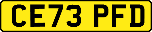 CE73PFD