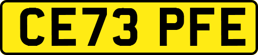 CE73PFE