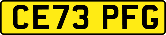 CE73PFG