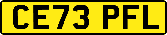 CE73PFL