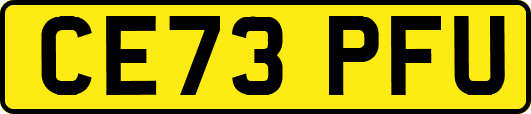 CE73PFU
