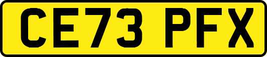 CE73PFX