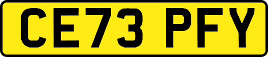 CE73PFY