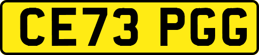 CE73PGG