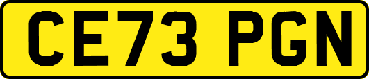 CE73PGN