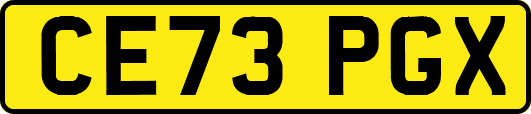 CE73PGX