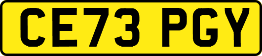 CE73PGY