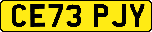 CE73PJY