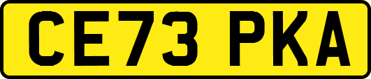CE73PKA