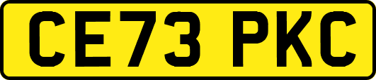 CE73PKC