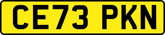CE73PKN