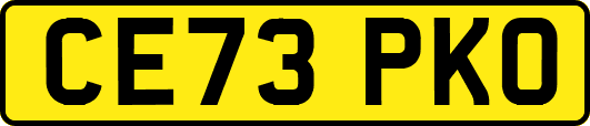 CE73PKO