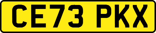 CE73PKX