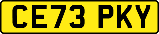 CE73PKY