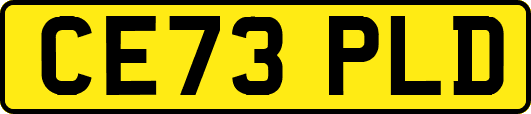 CE73PLD