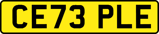 CE73PLE