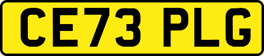 CE73PLG