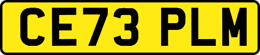 CE73PLM