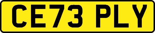 CE73PLY