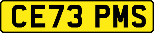 CE73PMS
