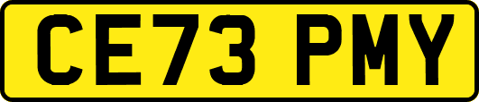 CE73PMY
