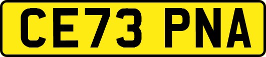 CE73PNA